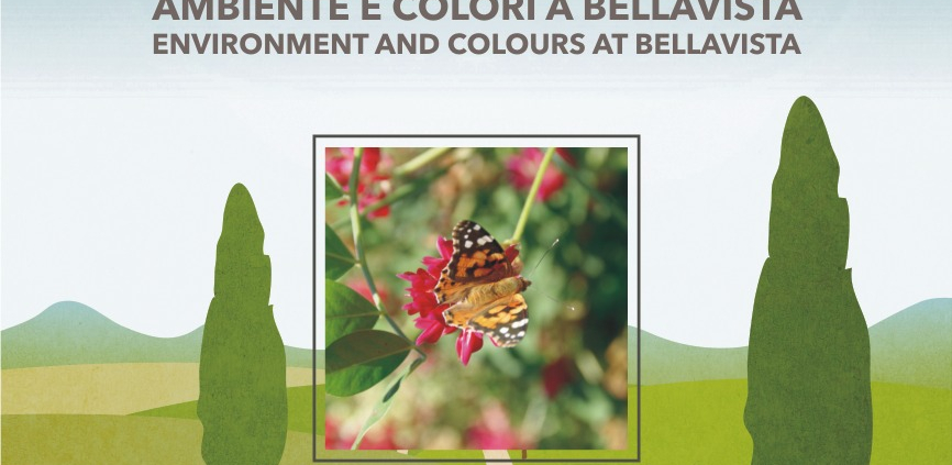 Pasquinelli presenta ambiente e colori a Bellavista