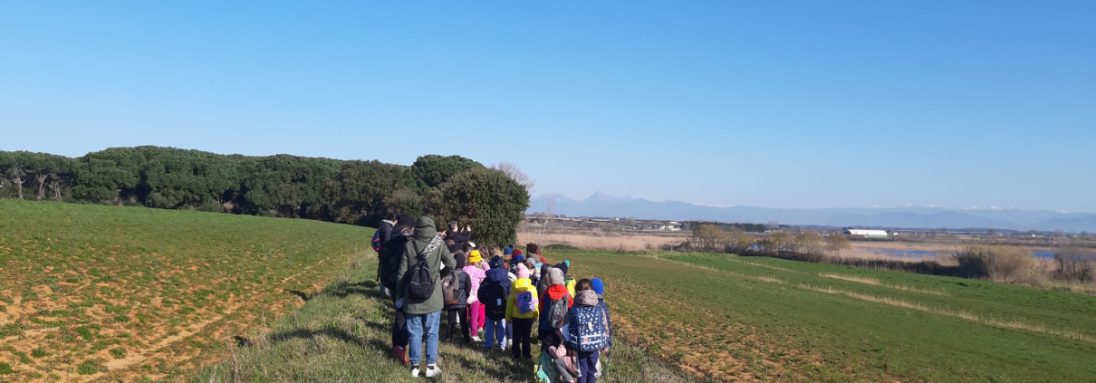 scuole elementari Carducci 1