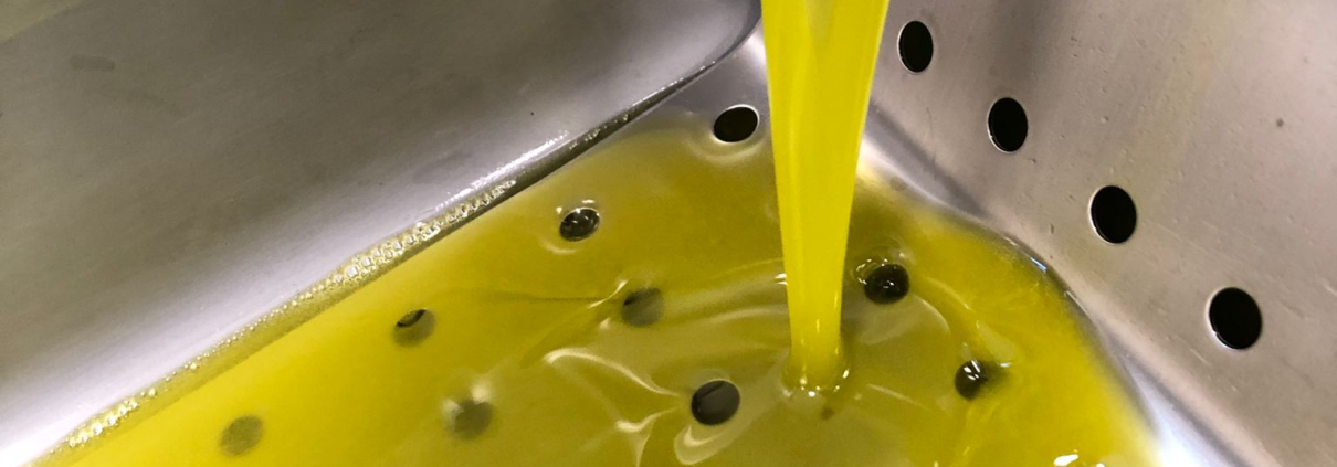olio nuovo 2025